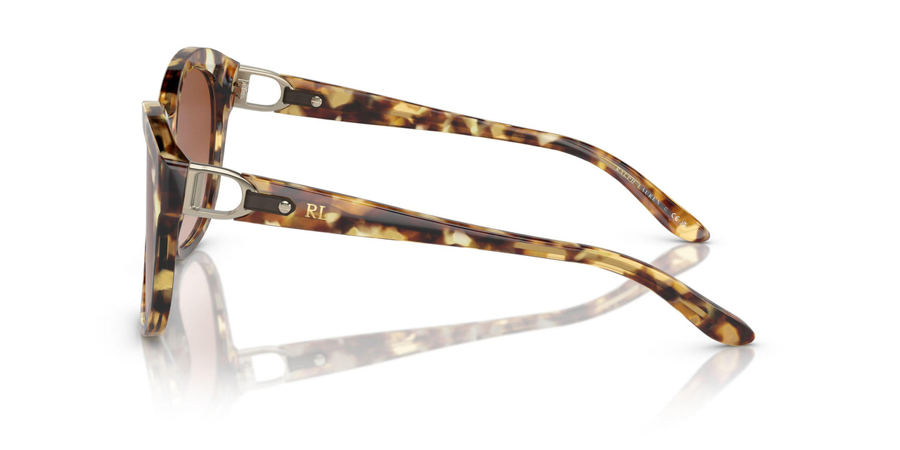 605613 - Tortoise - Gradient Brown