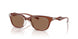 203373 - Brown - Dark Brown
