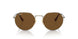 920757 - Gold - Brown Polar