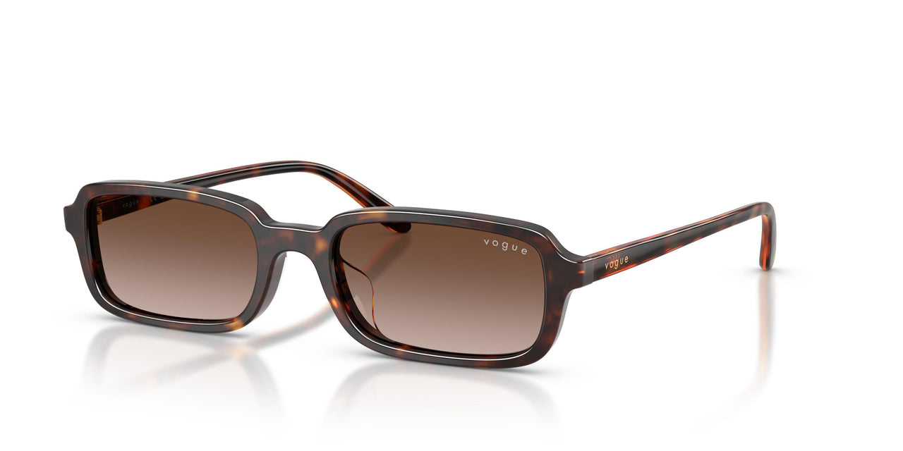 W65613 - Brown - Brown Gradient