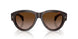 300213 - Tortoise - Brown Gradient