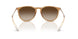 681413 - Brown - Gradient Brown