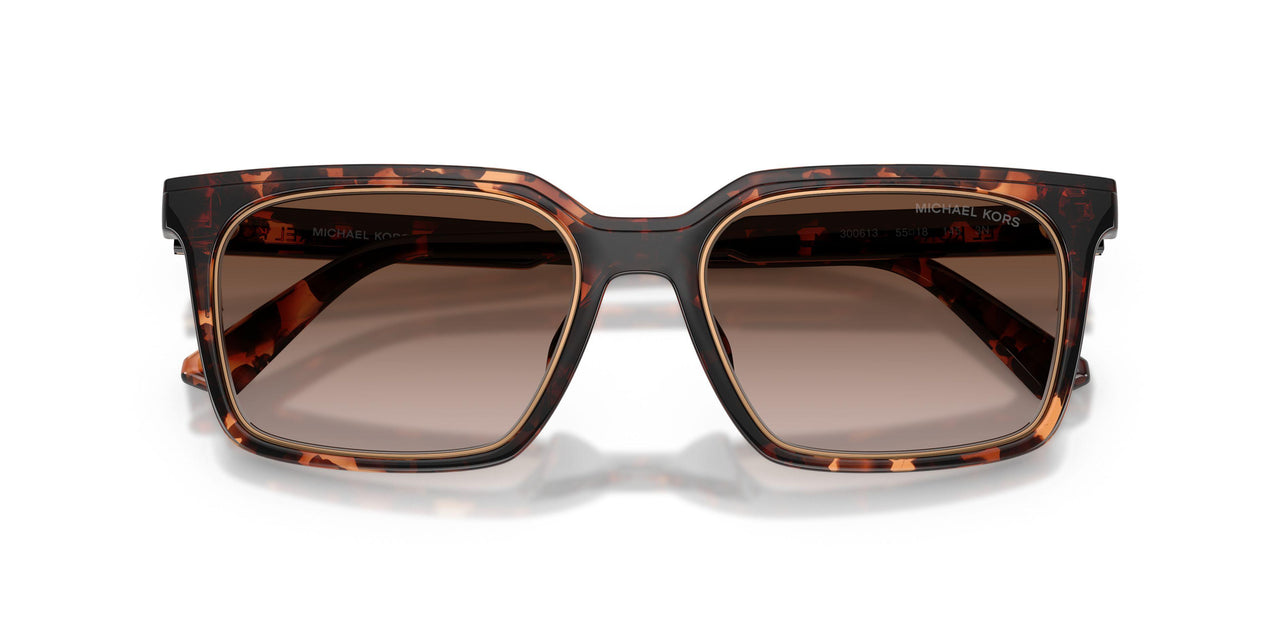 300613 - Tortoise - Smoke Gradient