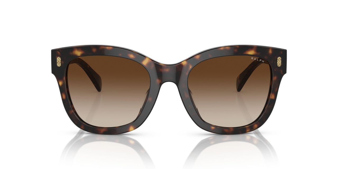 500313 - Brown - Gradient Brown