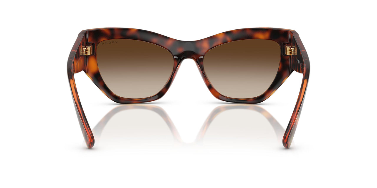 W65613 - Brown - Gradient Dark Brown