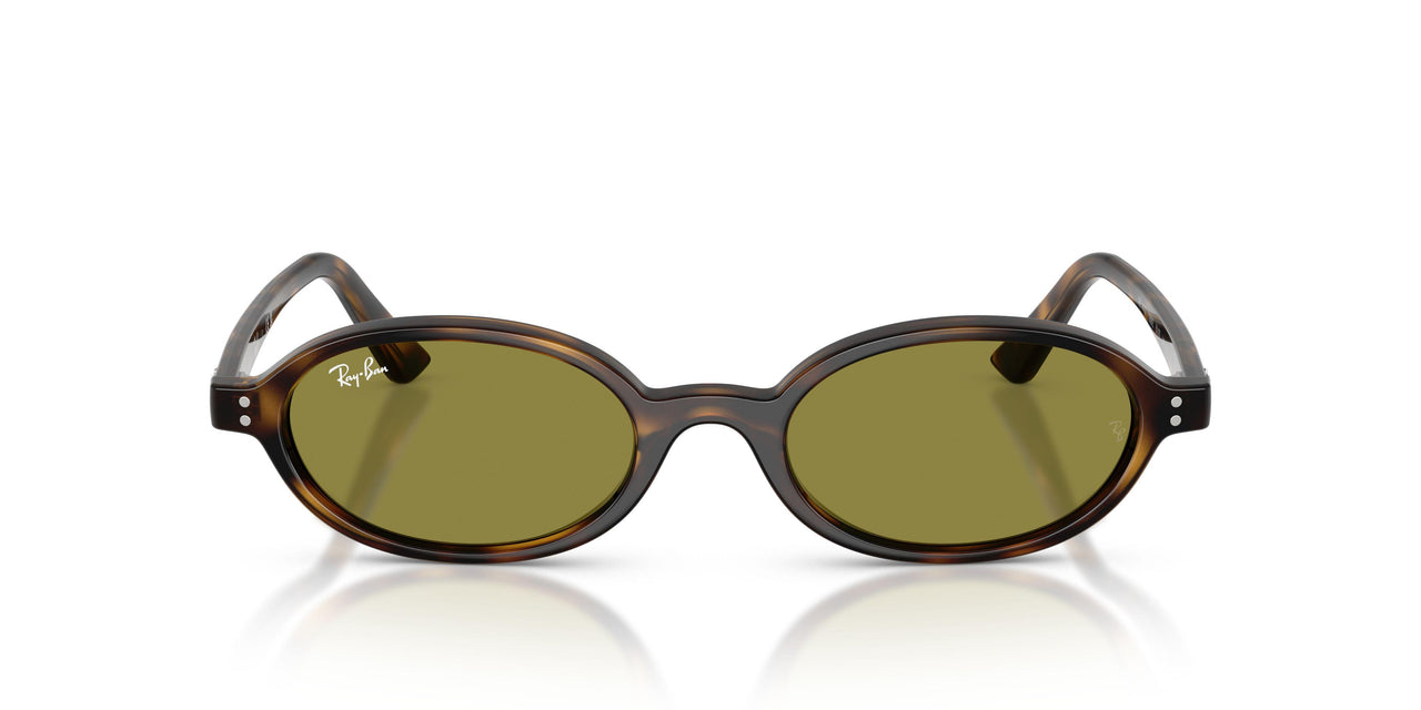 1359/2 - Tortoise - Green