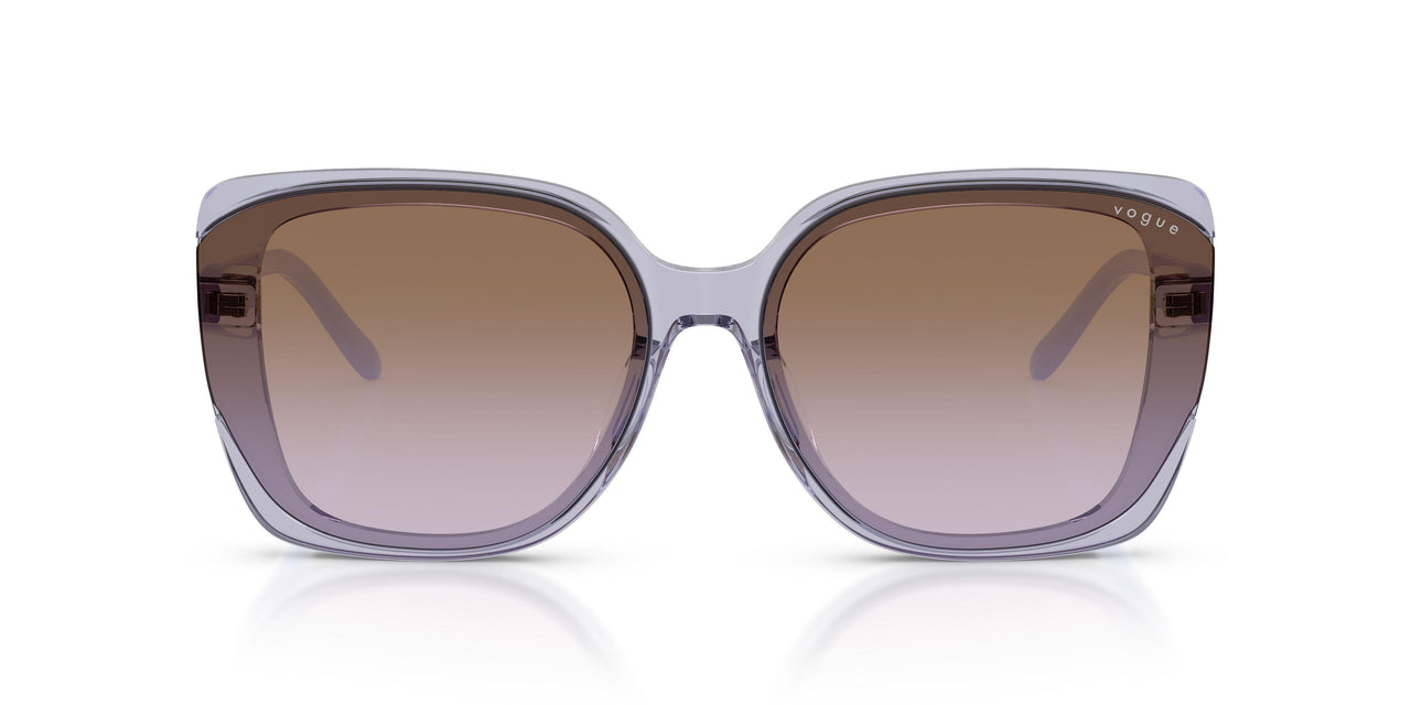292568 - Violet - Violet Gradient Brown