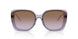 292568 - Violet - Violet Gradient Brown