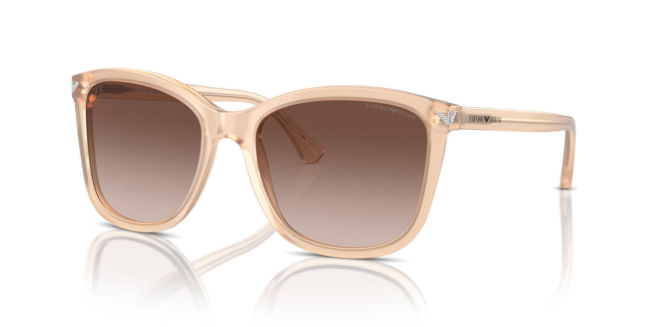 609813 - Brown - Brown Gradient