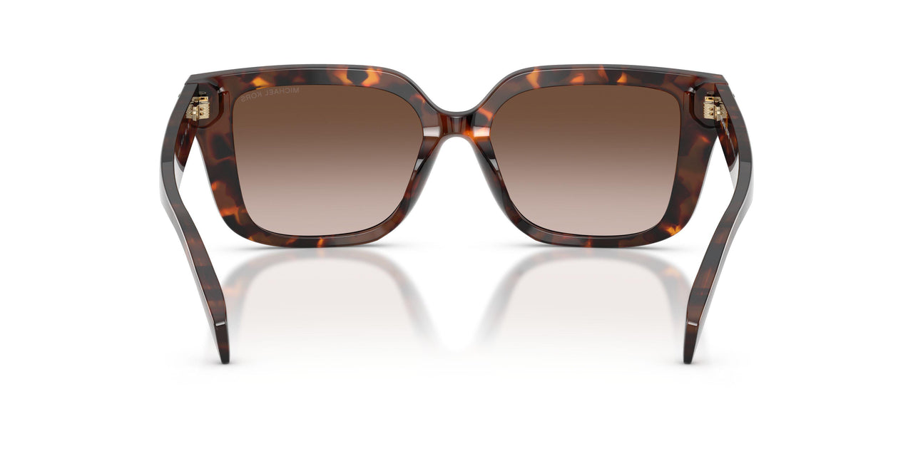 403113 - Tortoise - Smoke Gradient