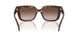 403113 - Tortoise - Smoke Gradient