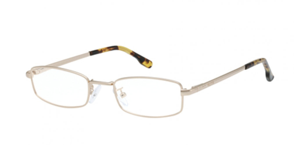 HOLLISTER 50019 Eyeglasses