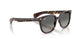 902/71 - Tortoise - Light Grey Gradient Dark Grey