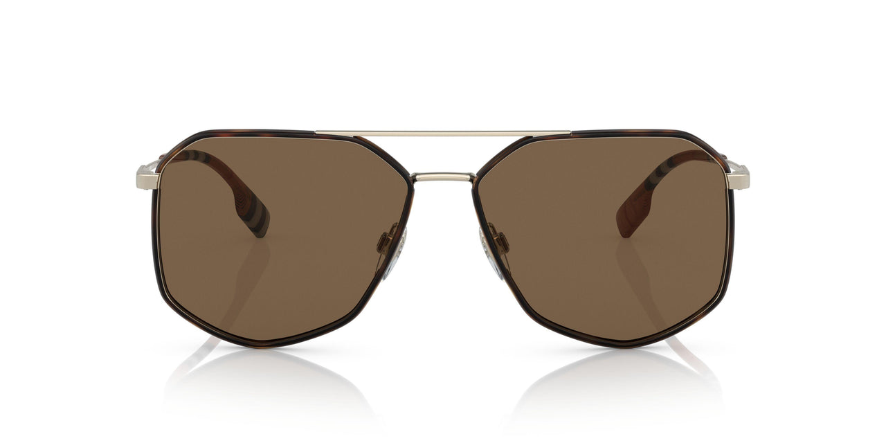 110973 - Havana - Brown