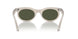 138331 - Grey - Green