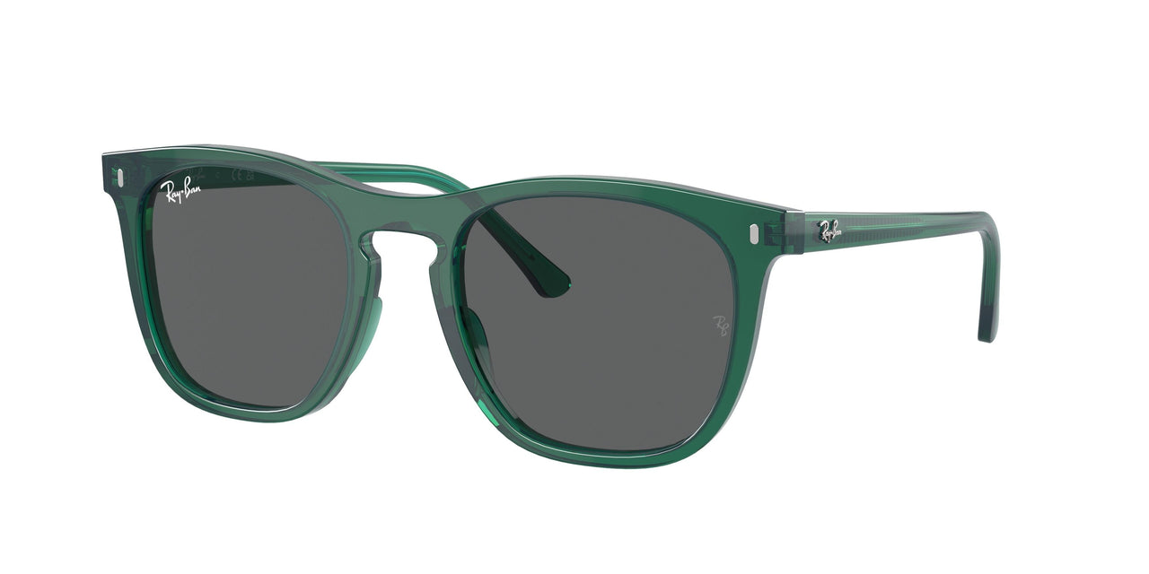Ray-Ban 2210F Sunglasses