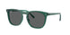 Ray-Ban 2210F Sunglasses