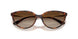 W65613 - Brown - Gradient Brown