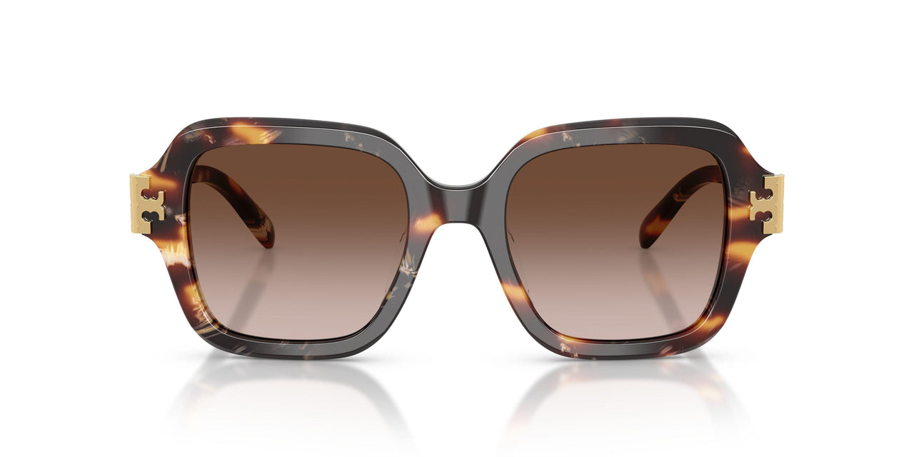 207213 - Tortoise - Brown Gradient