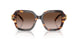 207213 - Tortoise - Brown Gradient