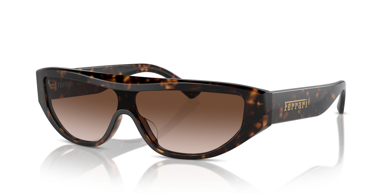 702/13 - Tortoise - Gradient Brown