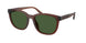 Coach Cca00 8442U Sunglasses