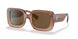 317373 - Light Brown - Brown
