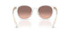 301513 - Transparent - Pink Gradient Dark Brown