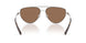 900173 - Silver - Brown