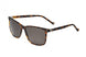 100 - BROWN TORTOISE