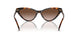 300613 - Tortoise - Brown Gradient