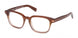 ZEGNA 5304 Eyeglasses