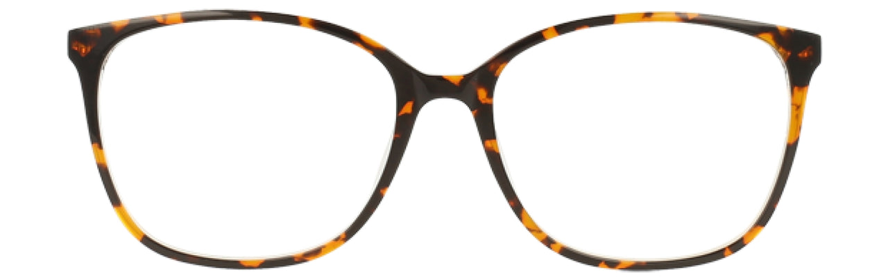 550 - Tortoise