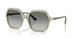 302211 - Green - Gradient Grey