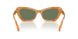 593982 - Tortoise - Green Solid