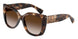 84213B - Brown - Brown Gradient