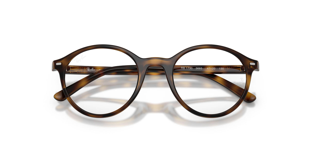 3685 - Tortoise - Clear