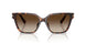 300613 - Tortoise - Smoke Gradient