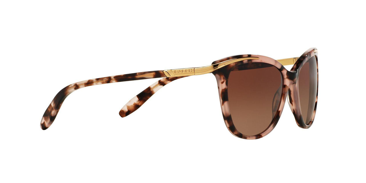 1463T5 - Havana - Brown Gradient Polarized