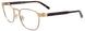 10 - Brushed Gold & Tortoise