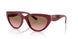 304814 - Red - Pink Gradient Brown