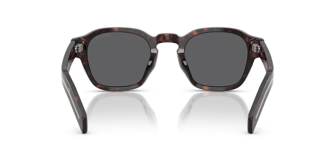 17N731 - Tortoise - Dark Grey
