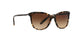 146213 - Brown - Dark Brown Gradient