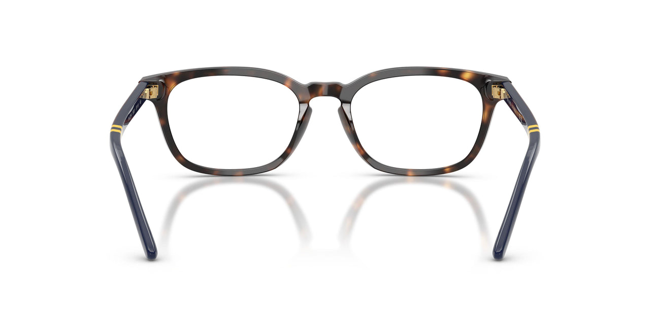5003 - Tortoise