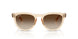 690213 - Pink - Light Brown Gradient Dark Brow