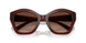 5841T5 - Brown - Brown Gradient Polar