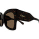 002 - Havana - Brown
