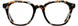 Cinzia CIN5193 Eyeglasses