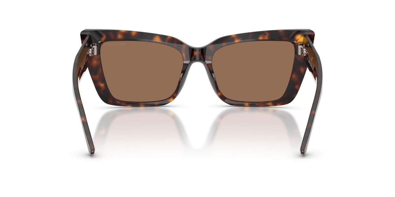 500273 - Tortoise - Dark Brown