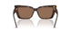 500273 - Tortoise - Dark Brown
